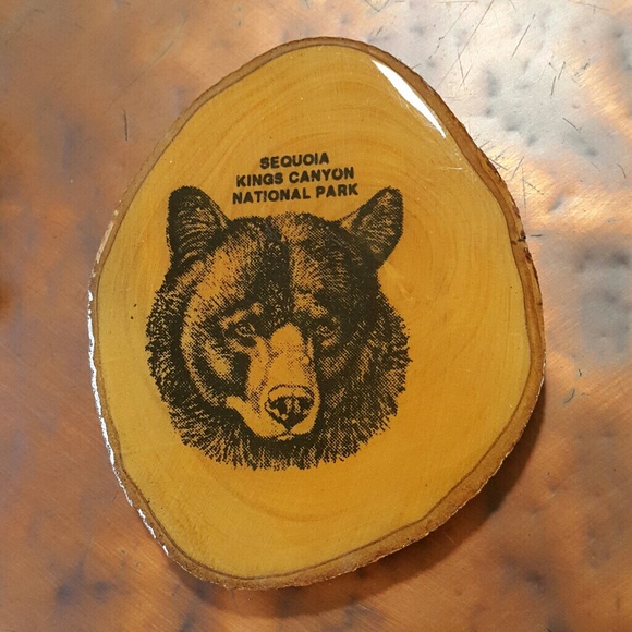 #70 Bear Fridge Magnet Sequoia Kings Canyon Park Wood - Picture 1 of 2